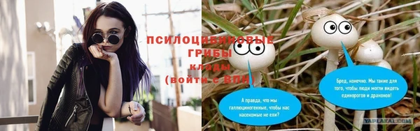 spice Вяземский