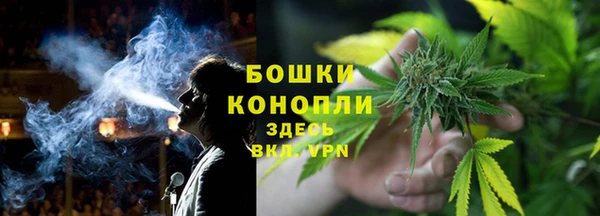 spice Вяземский