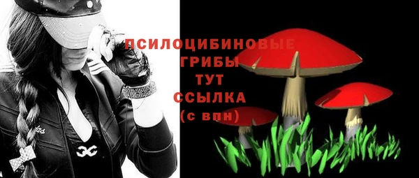 дмт Вязьма