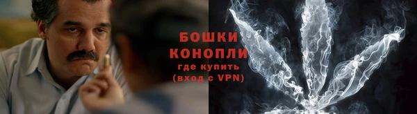 spice Вяземский
