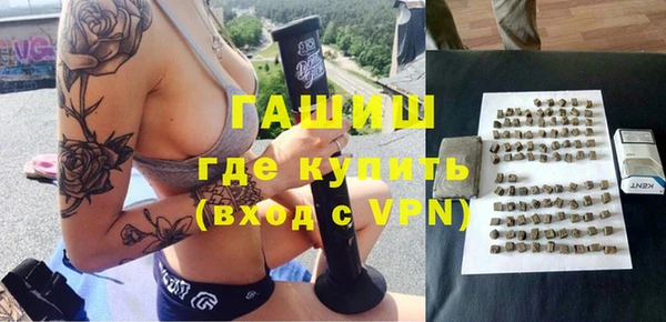 стаф Осинники