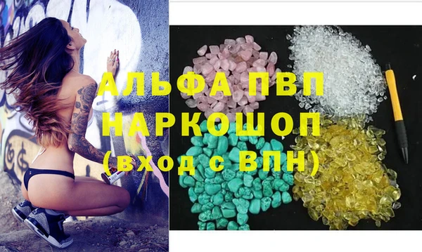 spice Вяземский