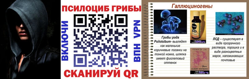 Псилоцибиновые грибы Magic Shrooms  Новороссийск 