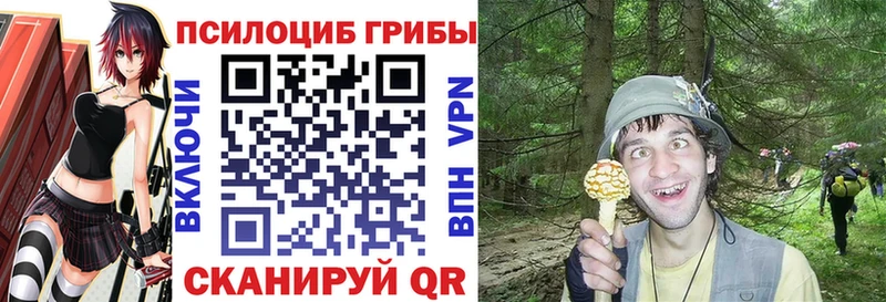 Галлюциногенные грибы мицелий Новороссийск